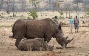 15 Day Botswana Tour - Wild Conservation