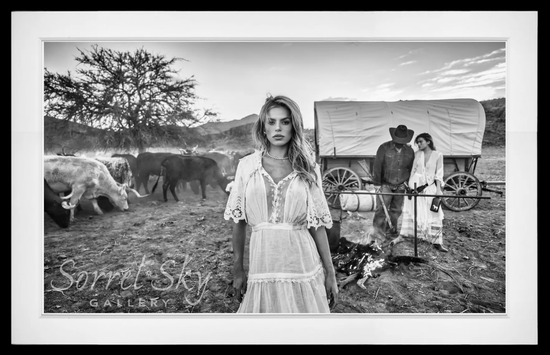 All My Ex's Live in Texas