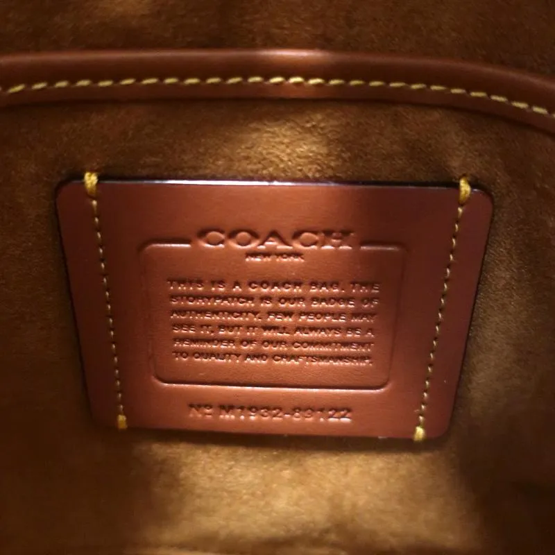Coach Emery Crossbody Bag with Varsity Stripe Cream Leather NEW