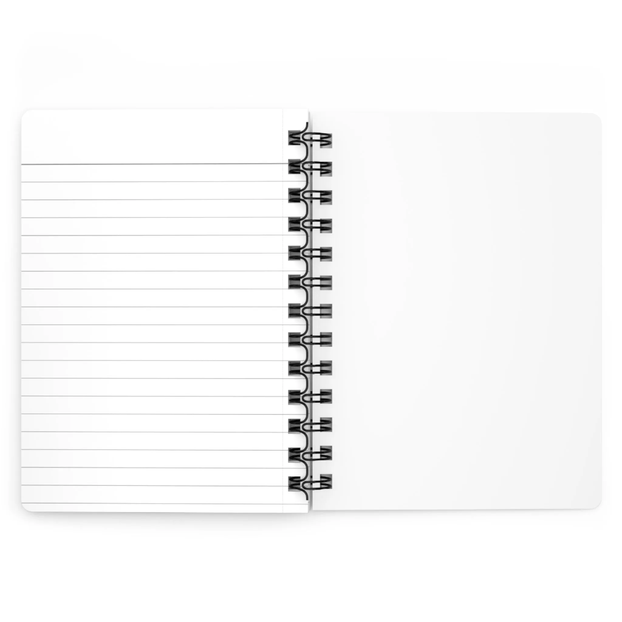 DAILY JOURNAL