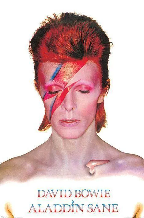 DAVID BOWIE - ALADDIN SANE Maxi Poster