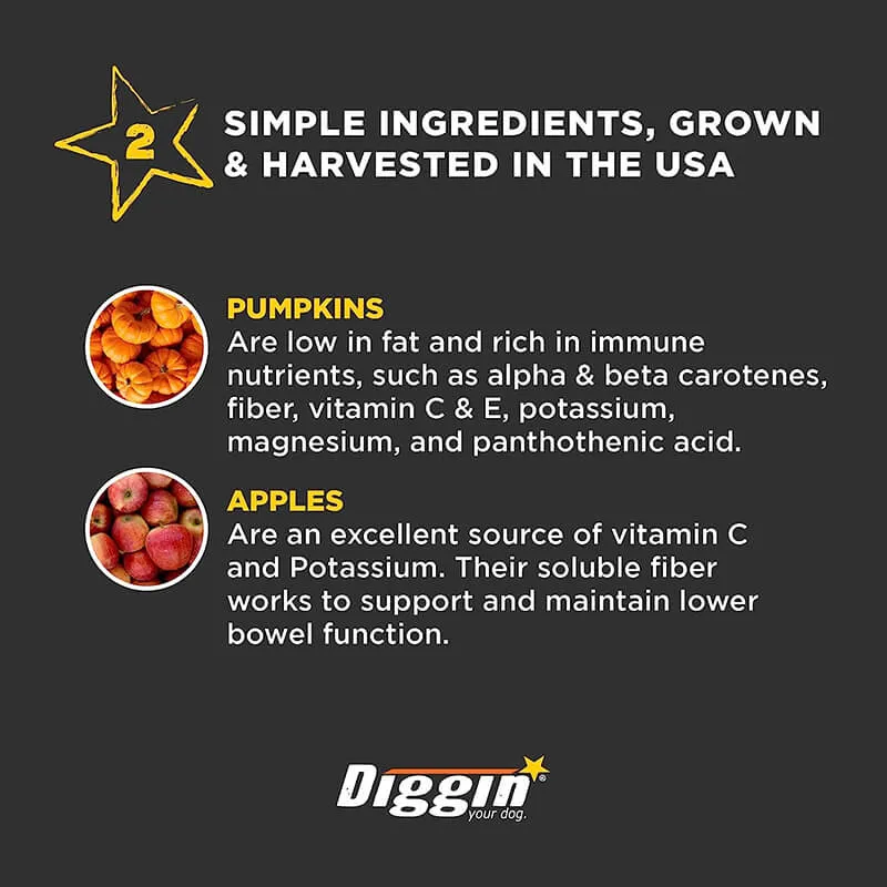 Diggin Your Dog Firm Up! Pumpkin Bars