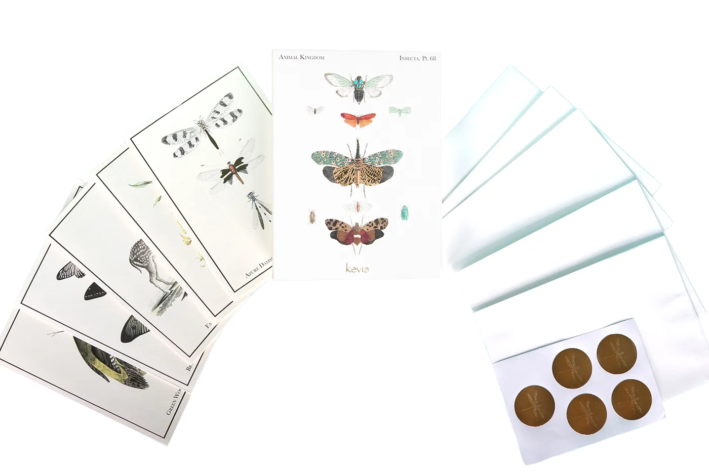 Flora & Fauna Greeting Cards