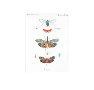 Flora & Fauna Greeting Cards