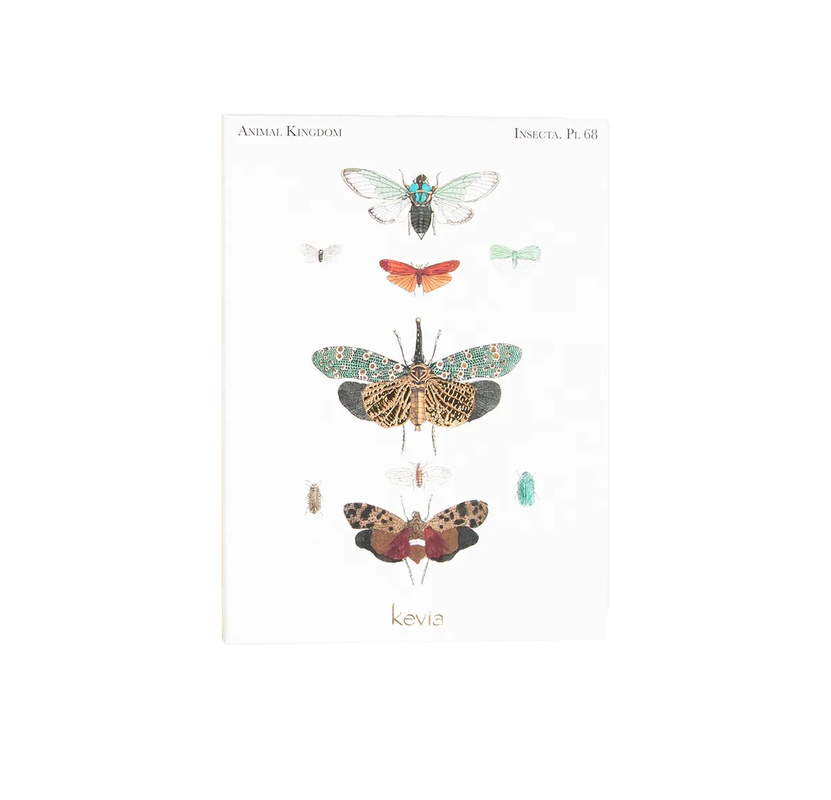 Flora & Fauna Greeting Cards