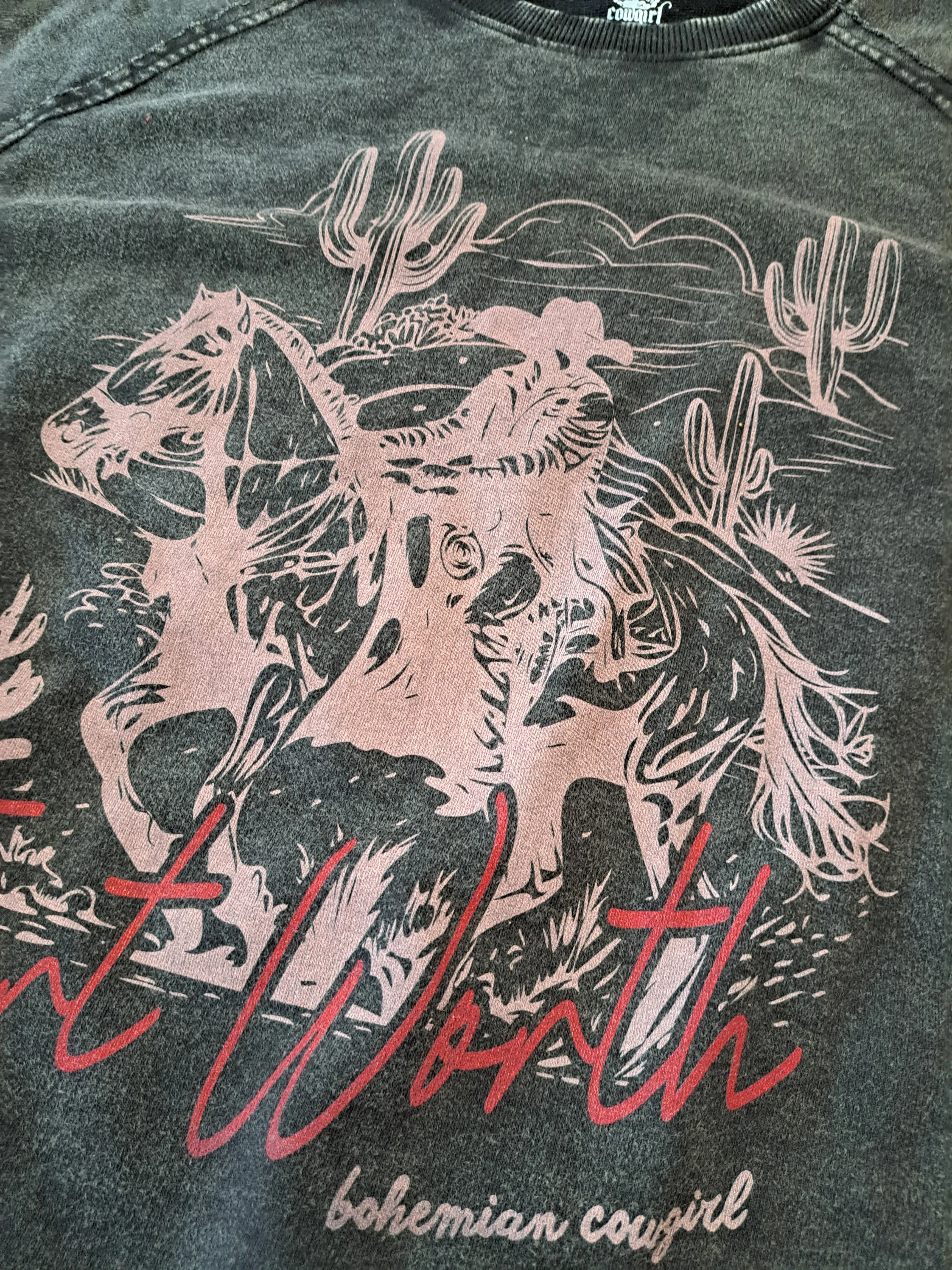 Fort Worth Vintage Bleached Sweatshirt - WS
