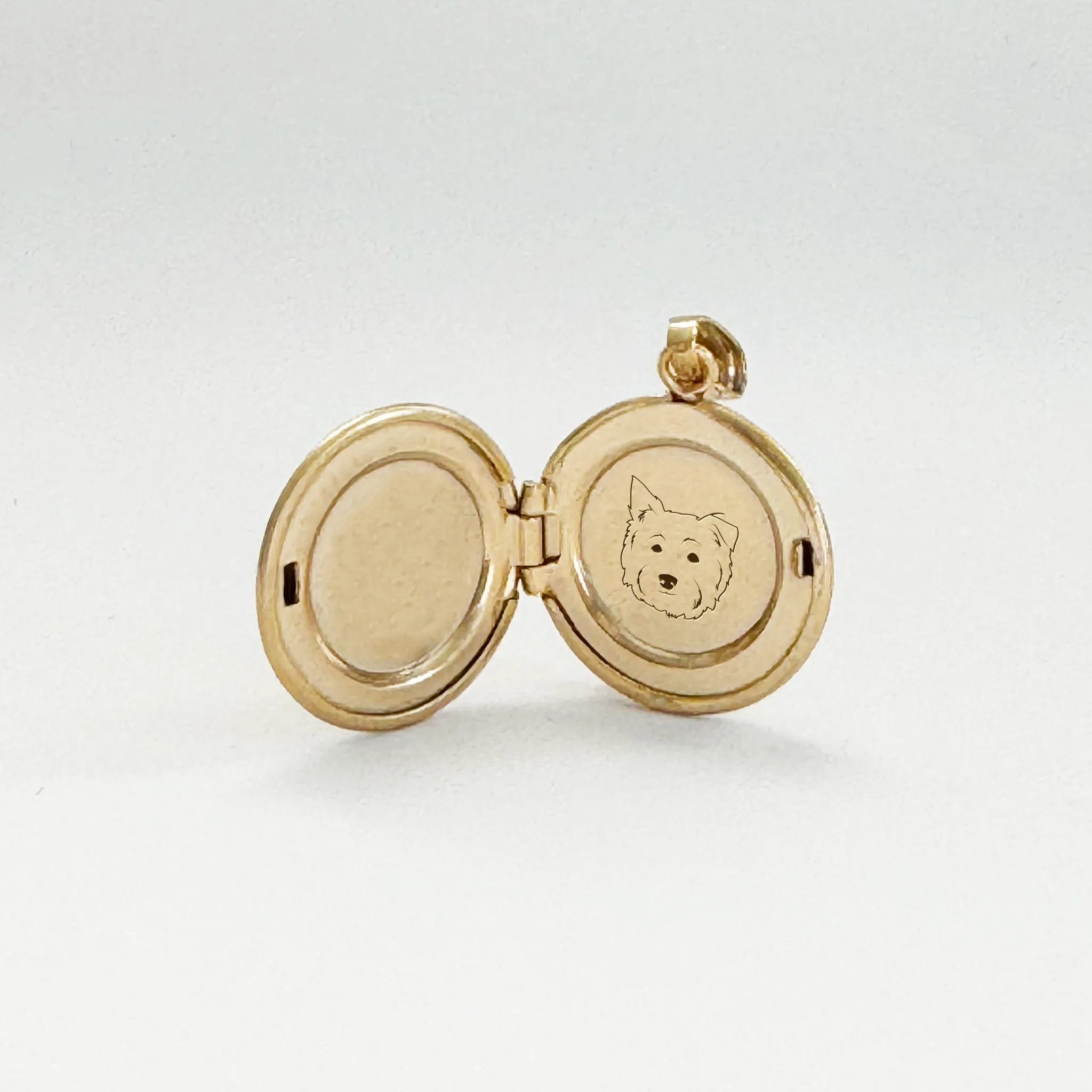 Gold Filled The Petite Silhouette Locket Necklace