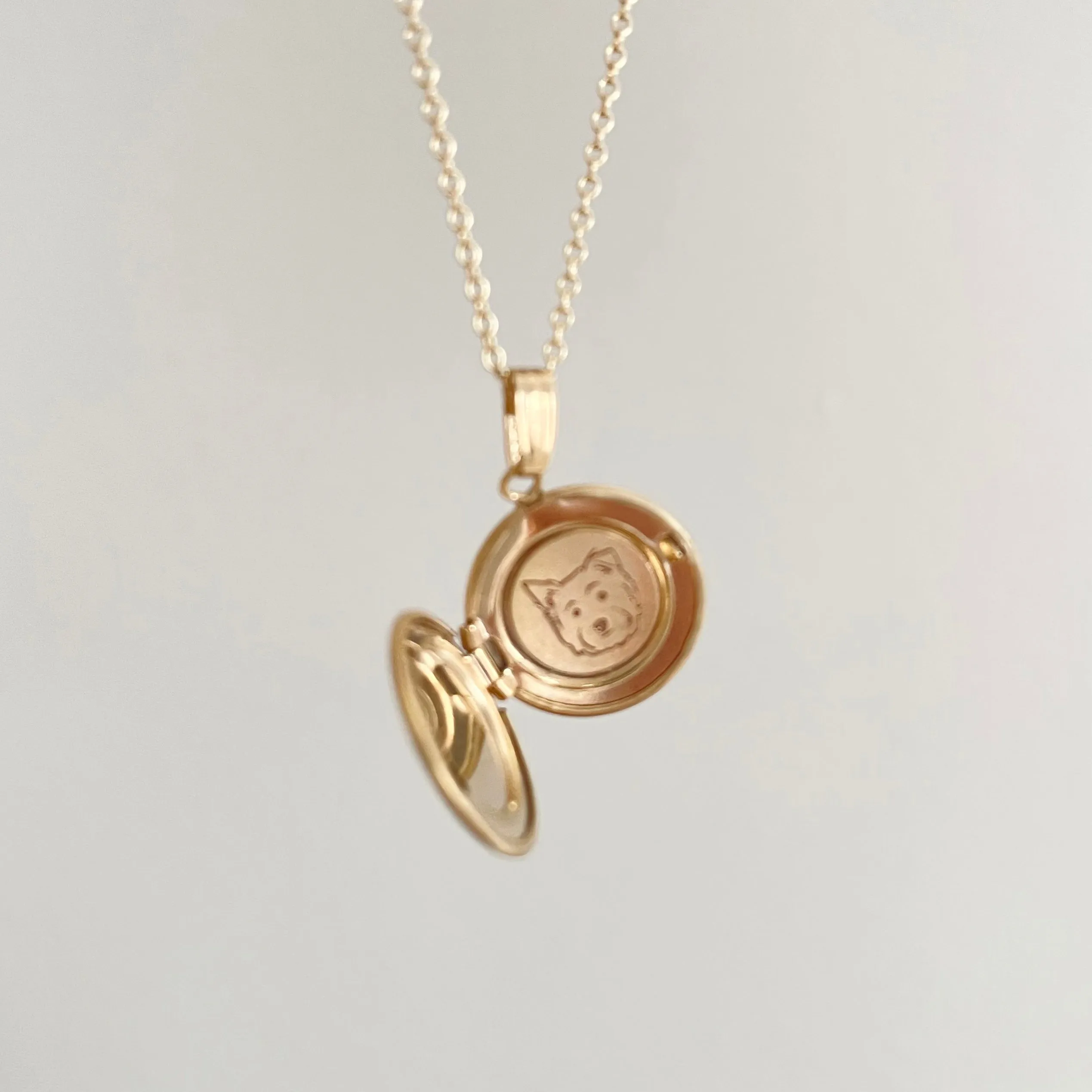 Gold Filled The Petite Silhouette Locket Necklace