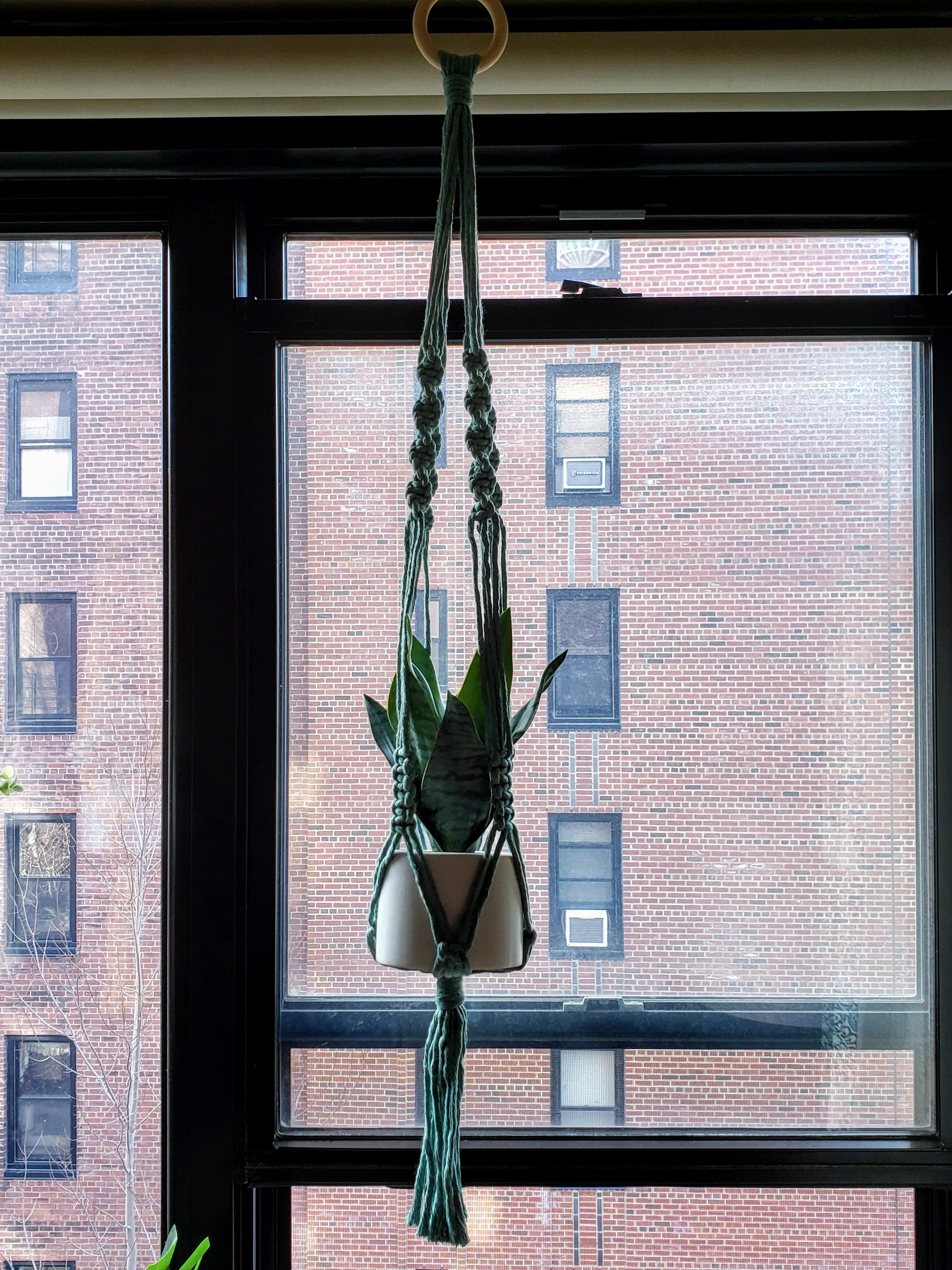 Handmade Plant Hanger