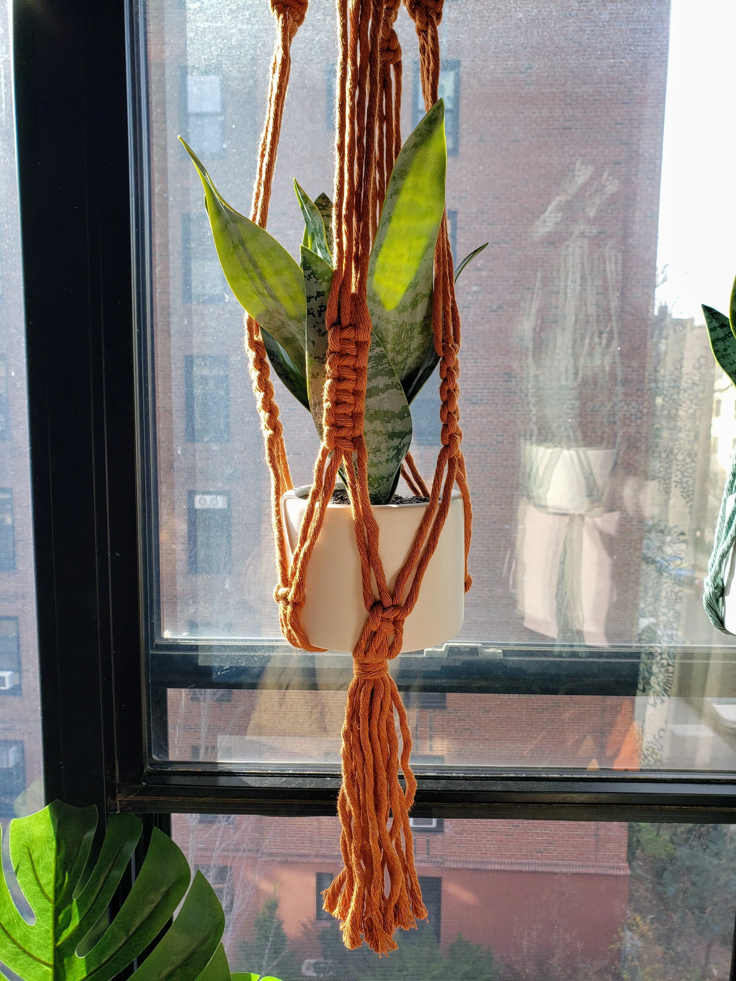 Handmade Plant Hanger