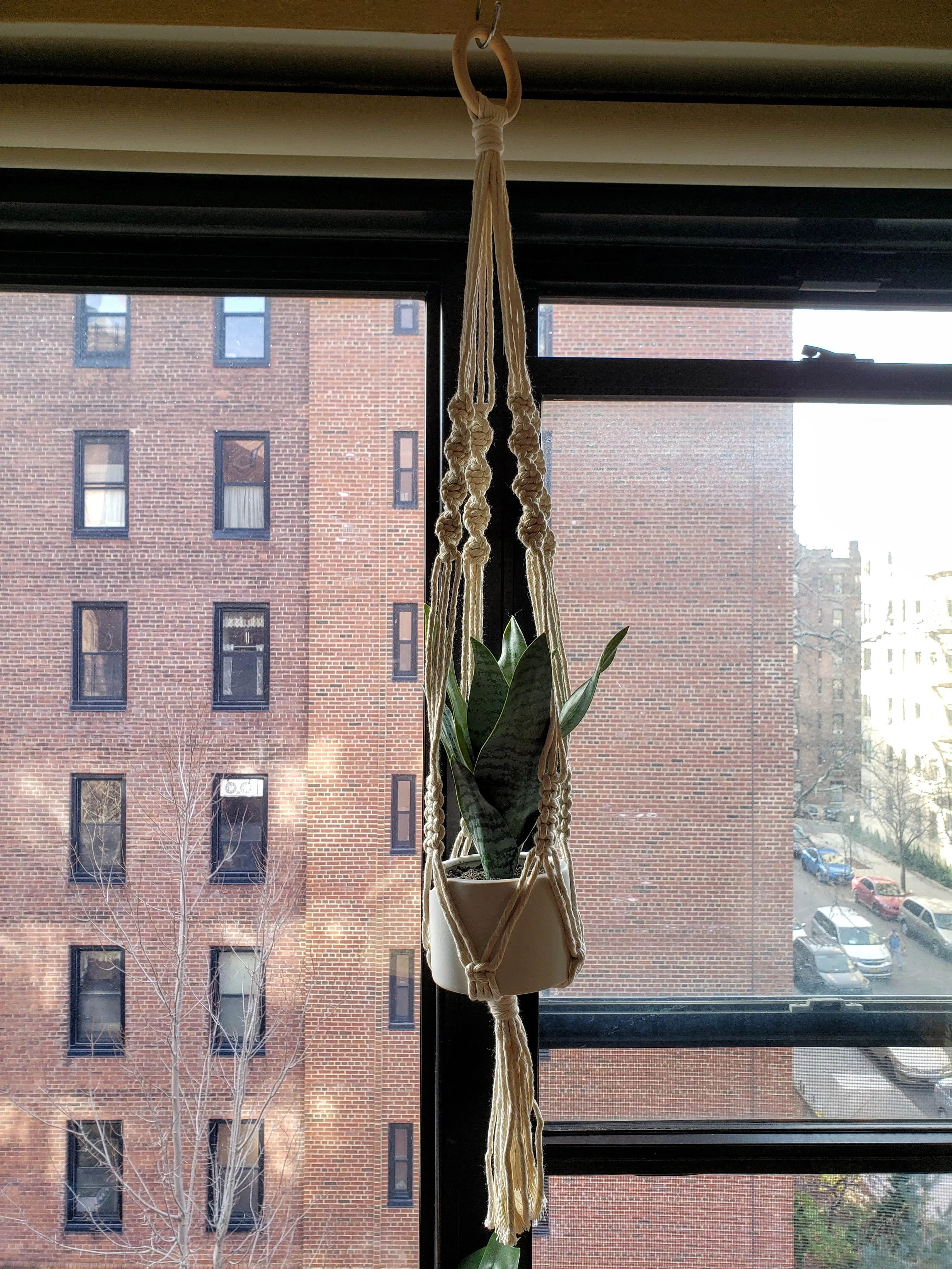 Handmade Plant Hanger