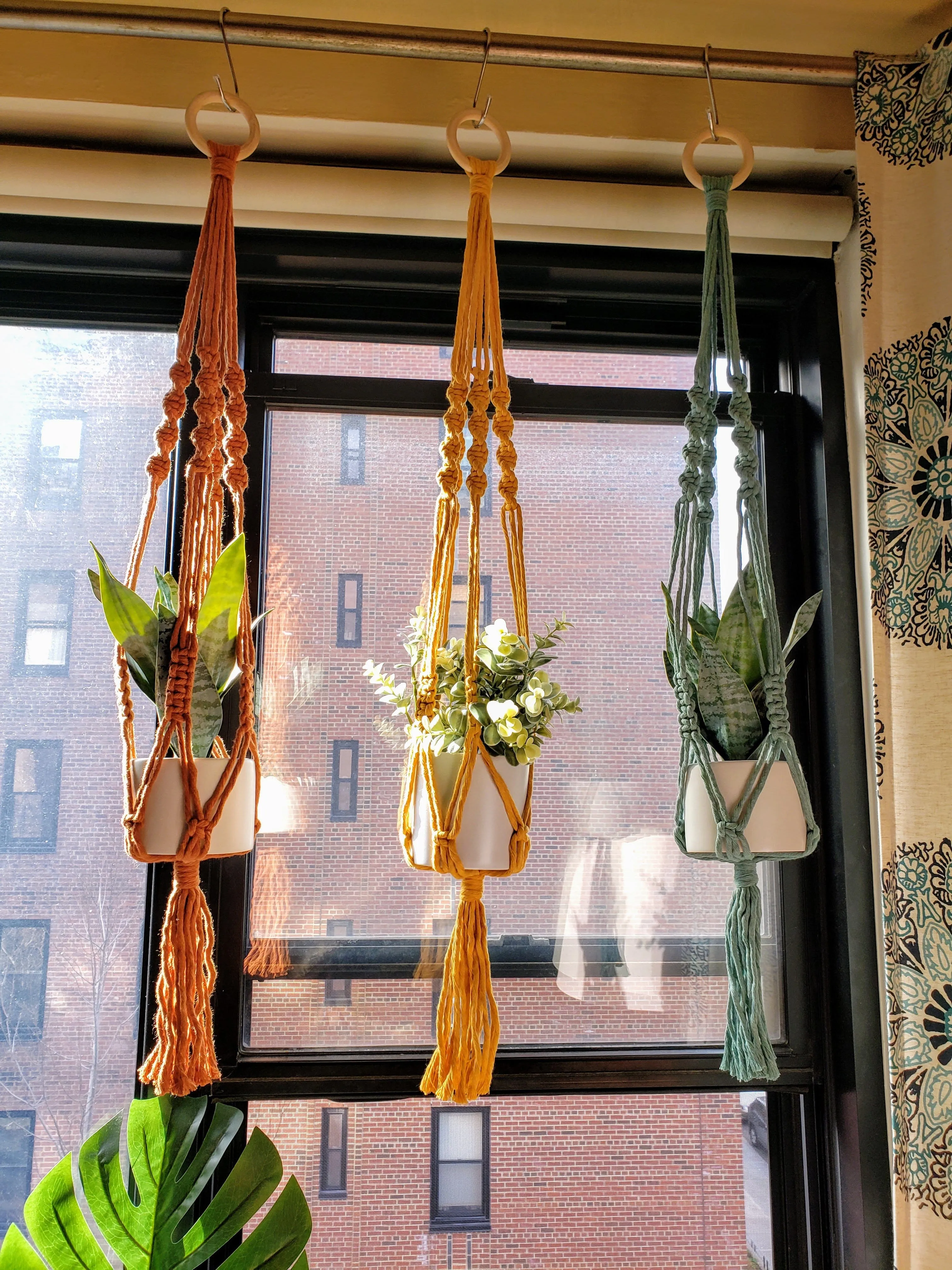 Handmade Plant Hanger