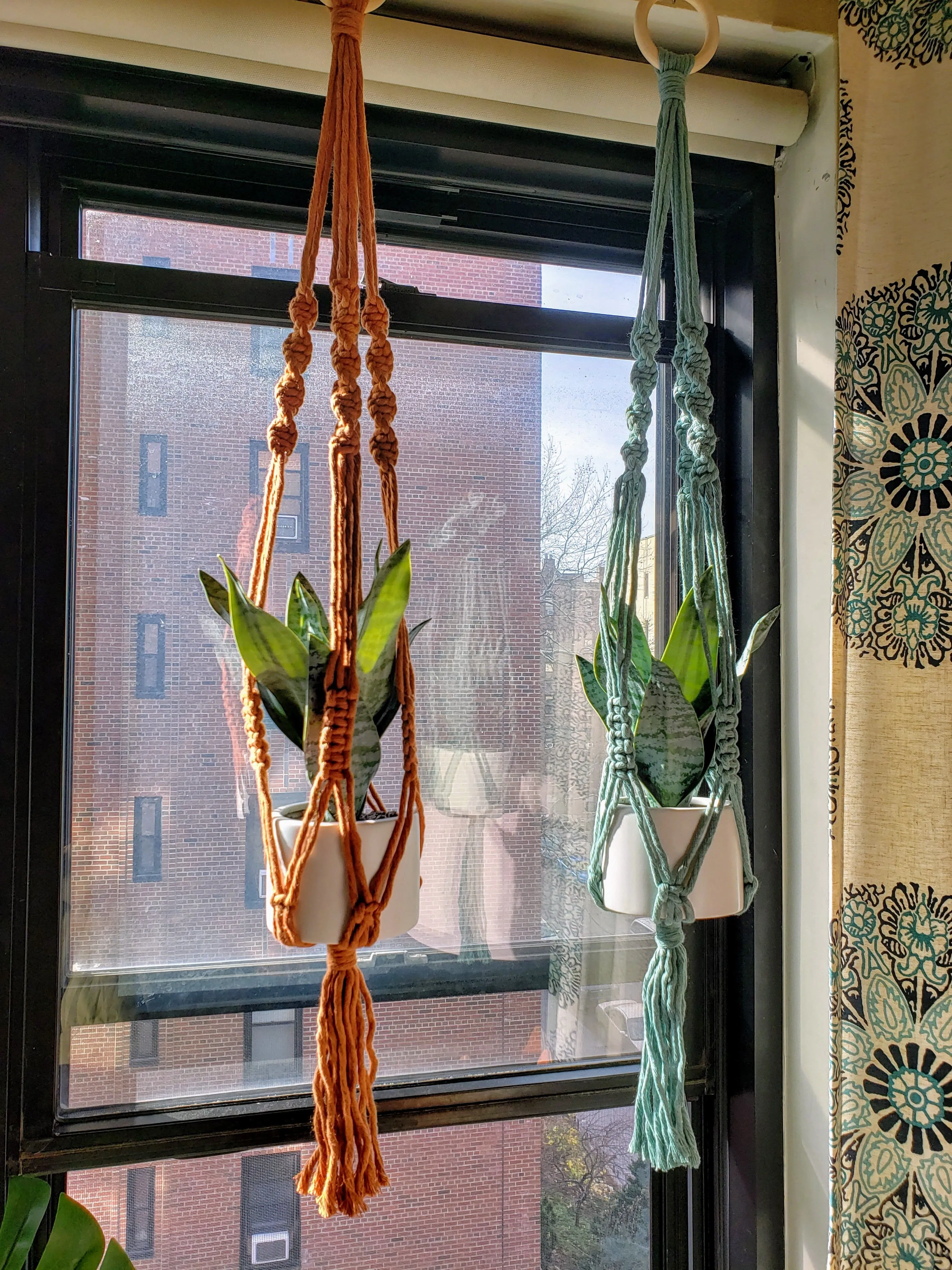 Handmade Plant Hanger