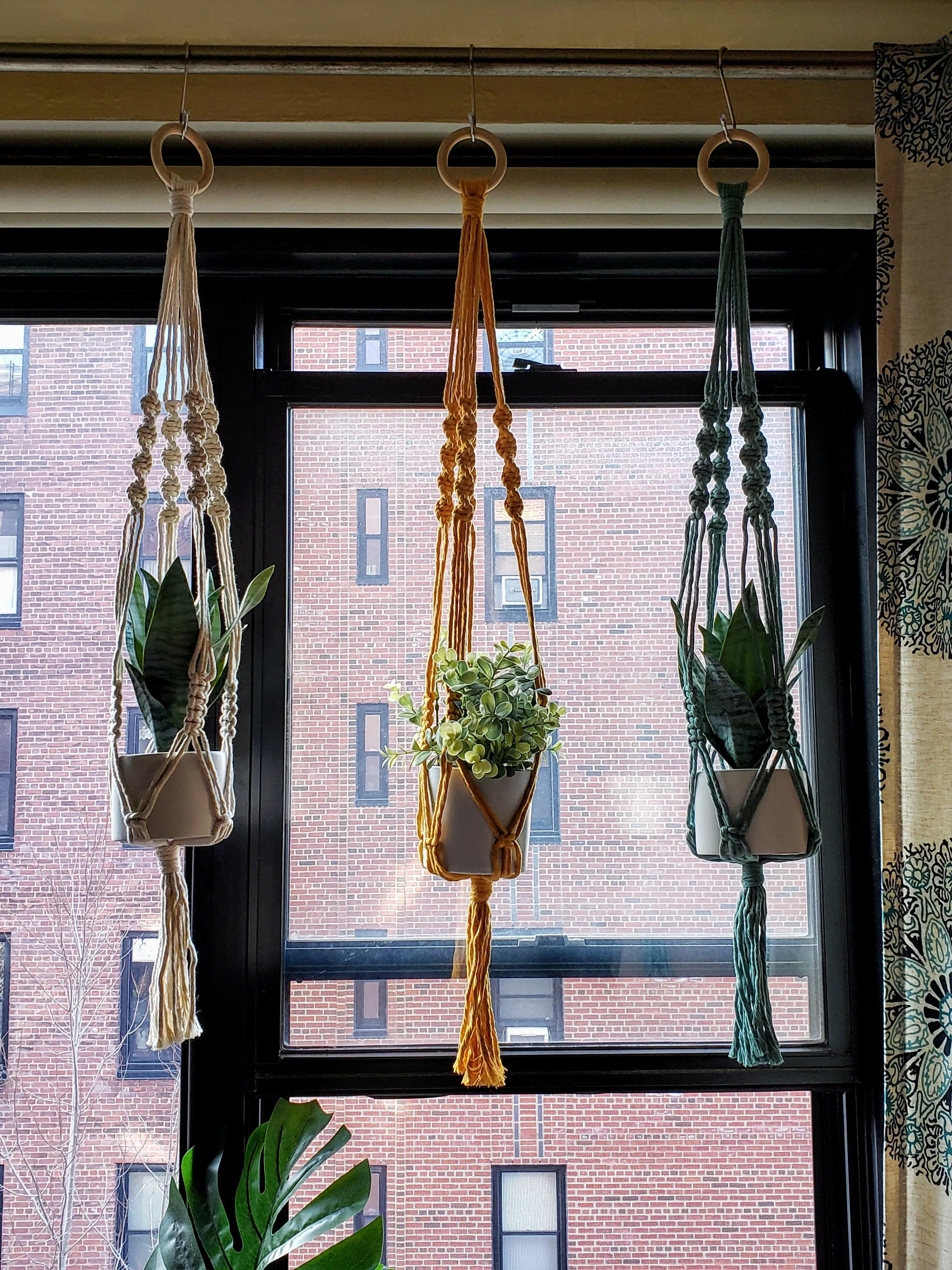 Handmade Plant Hanger