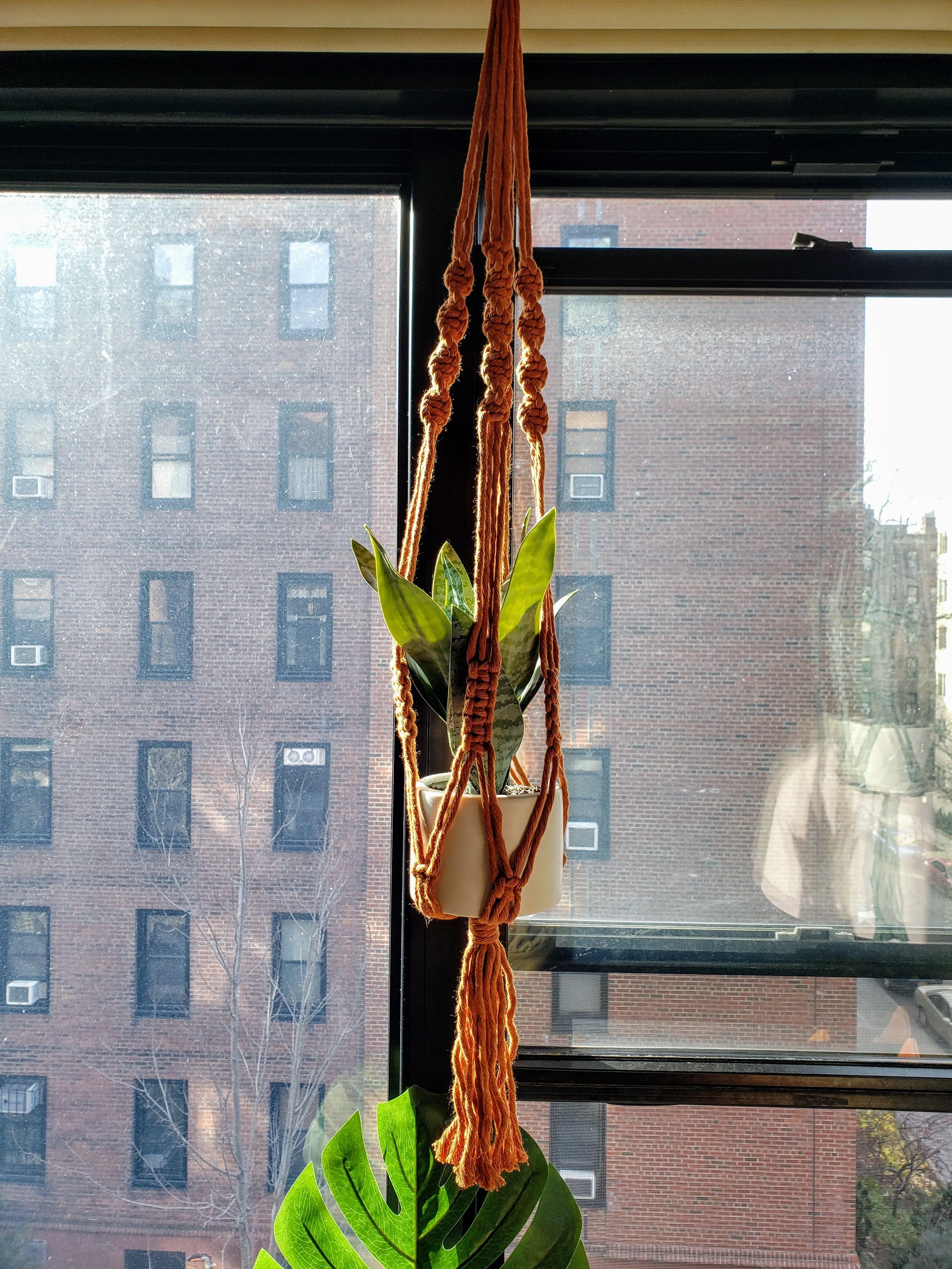 Handmade Plant Hanger
