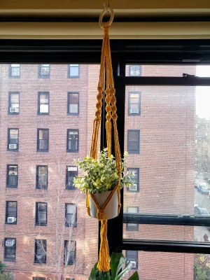 Handmade Plant Hanger