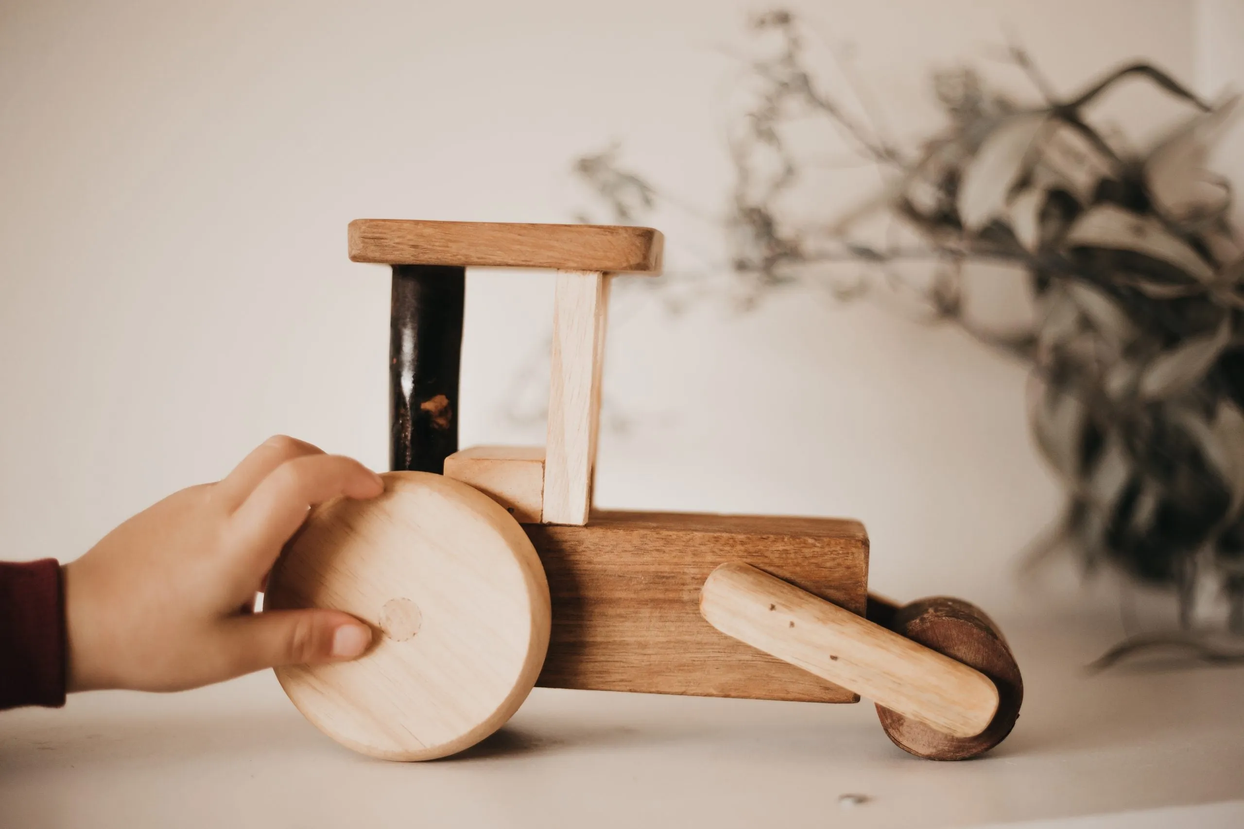 Handmade Timber Steam Roller