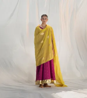 Khara Kapas   I   Jamun Flared Maxi