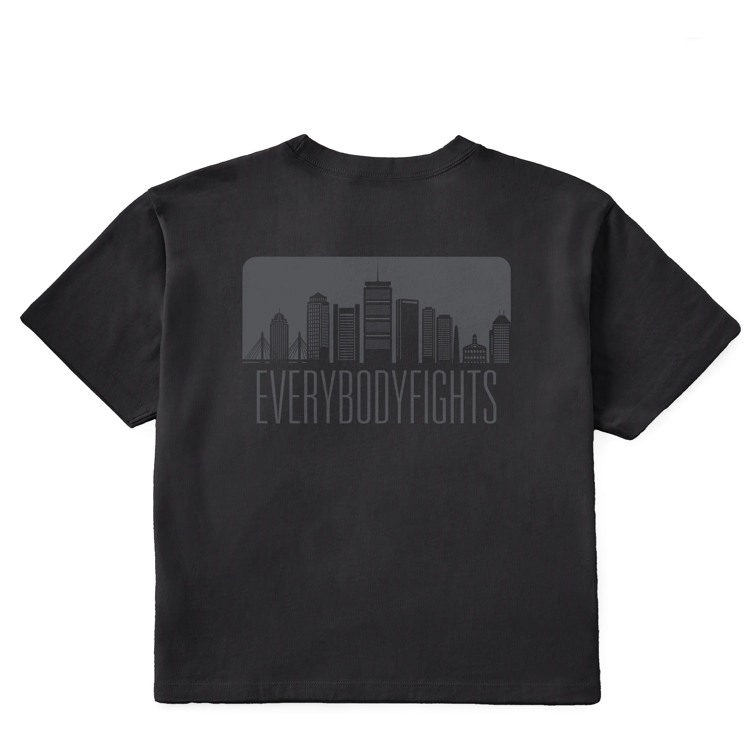 Life is Good x EverybodyFights -  Tee (Women's -SkyLine Short Sleeve Boxy Crusher Tee)