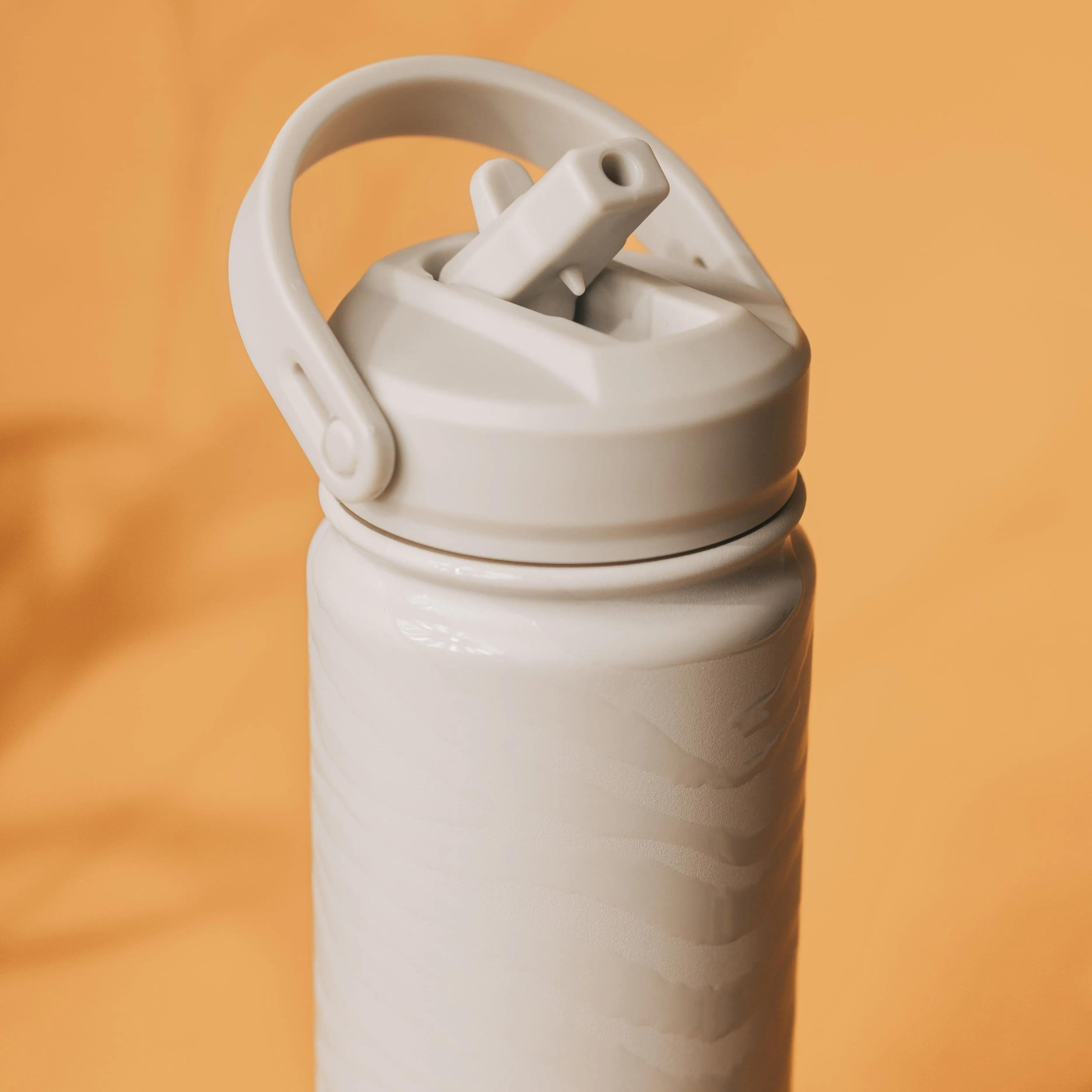 Lizzard Printed Flask 650Ml