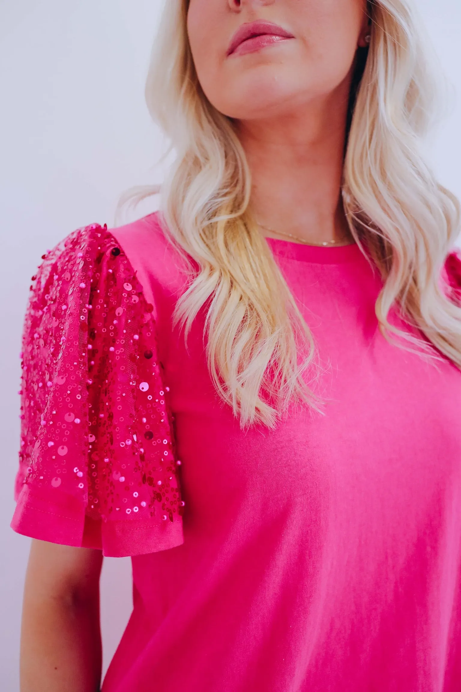 Micah Mesh Sequin Sleeve Top