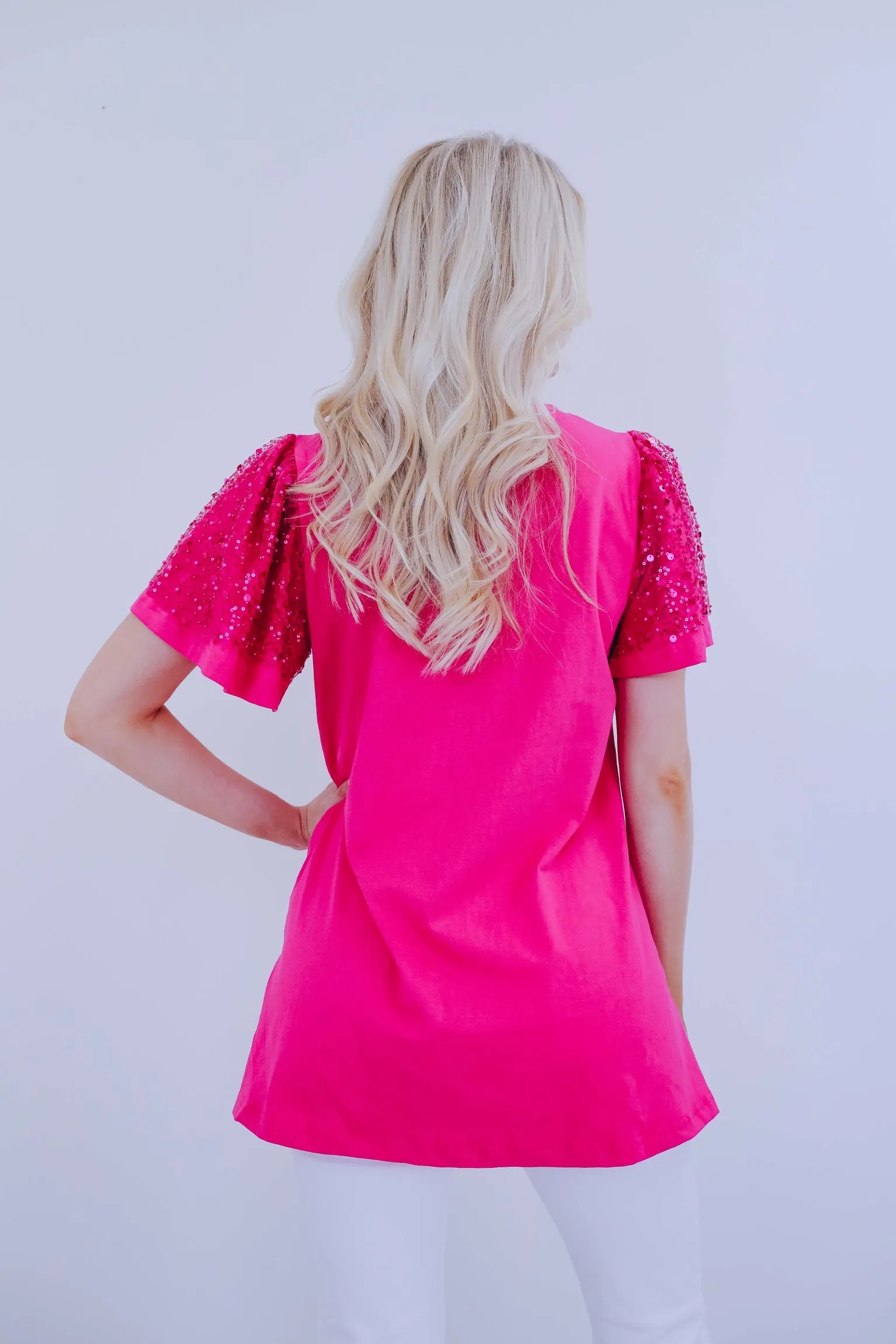 Micah Mesh Sequin Sleeve Top