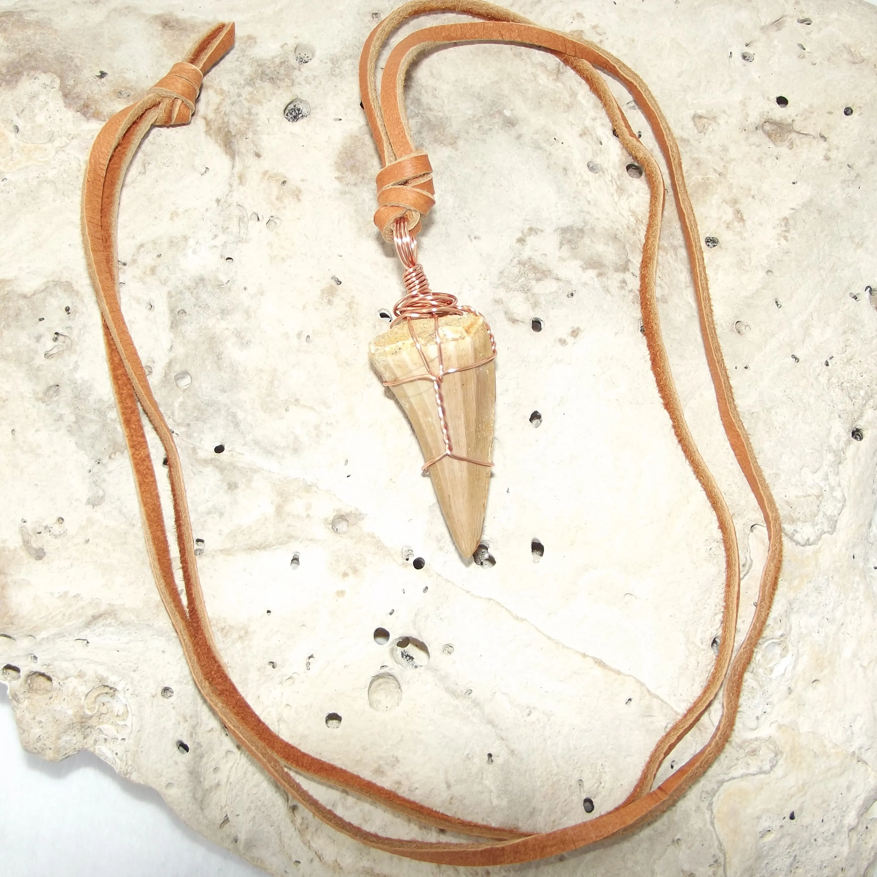 Mosasauras Tooth (66 - 82 Million Year Old Fossil) Necklace