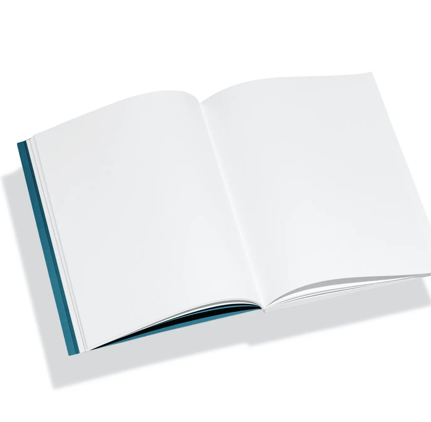 Object Notebook / Teal