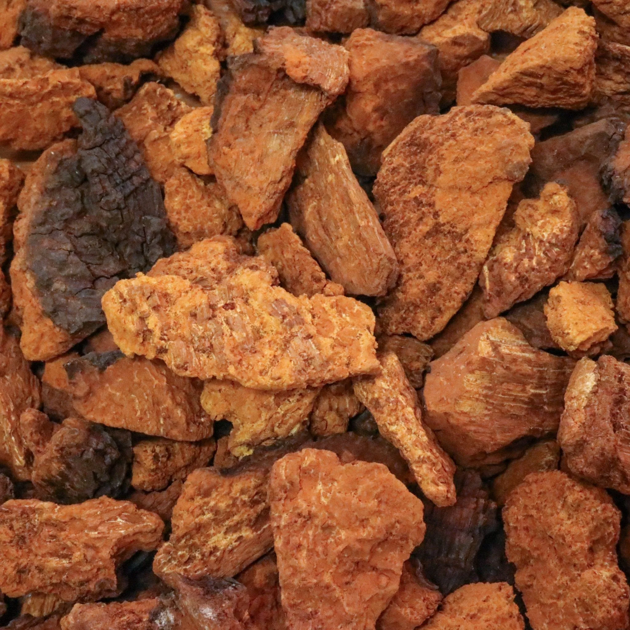 Organic Wild Crafted Chaga Chunks