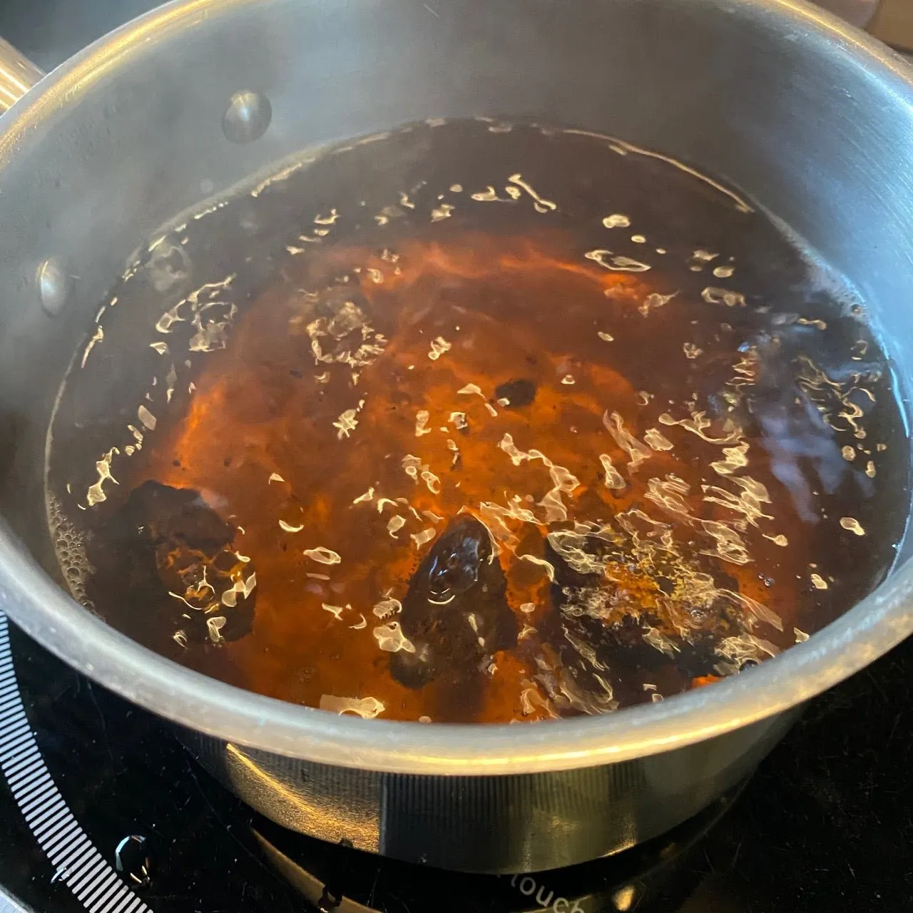 Organic Wild Crafted Chaga Chunks