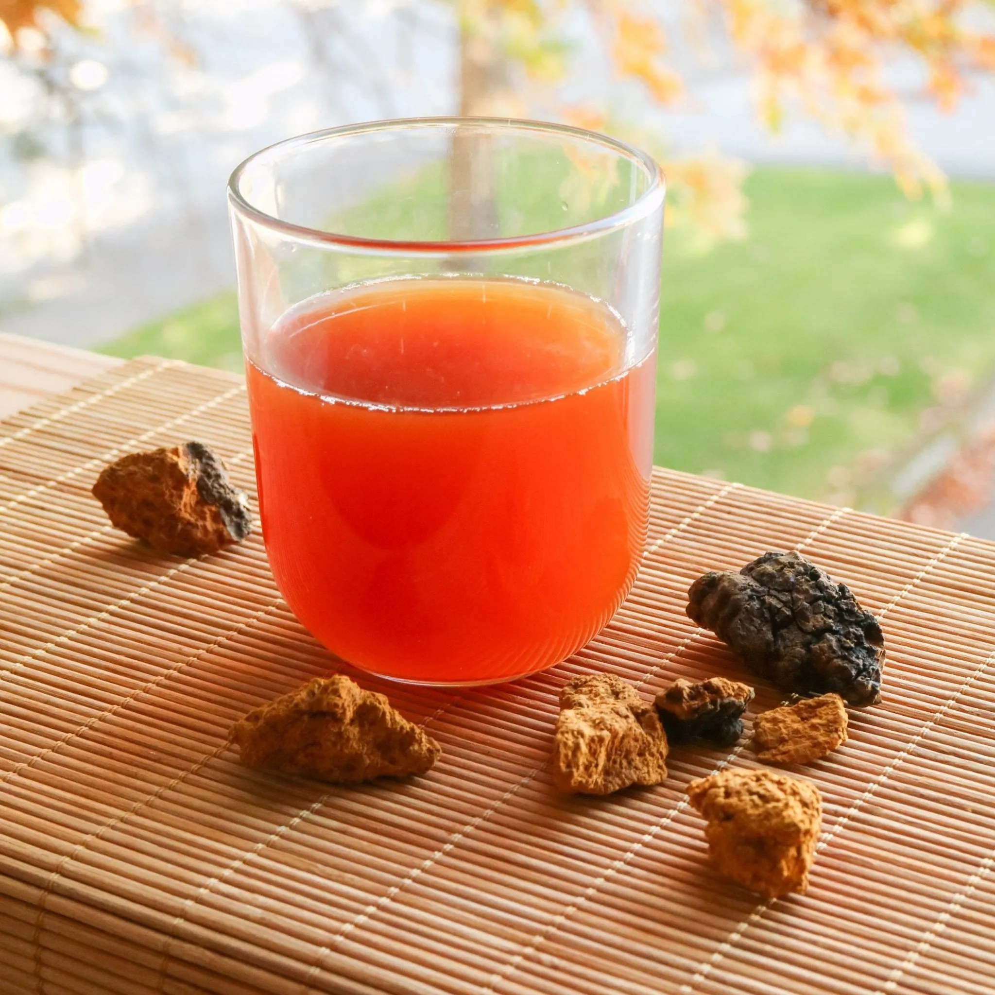 Organic Wild Crafted Chaga Chunks