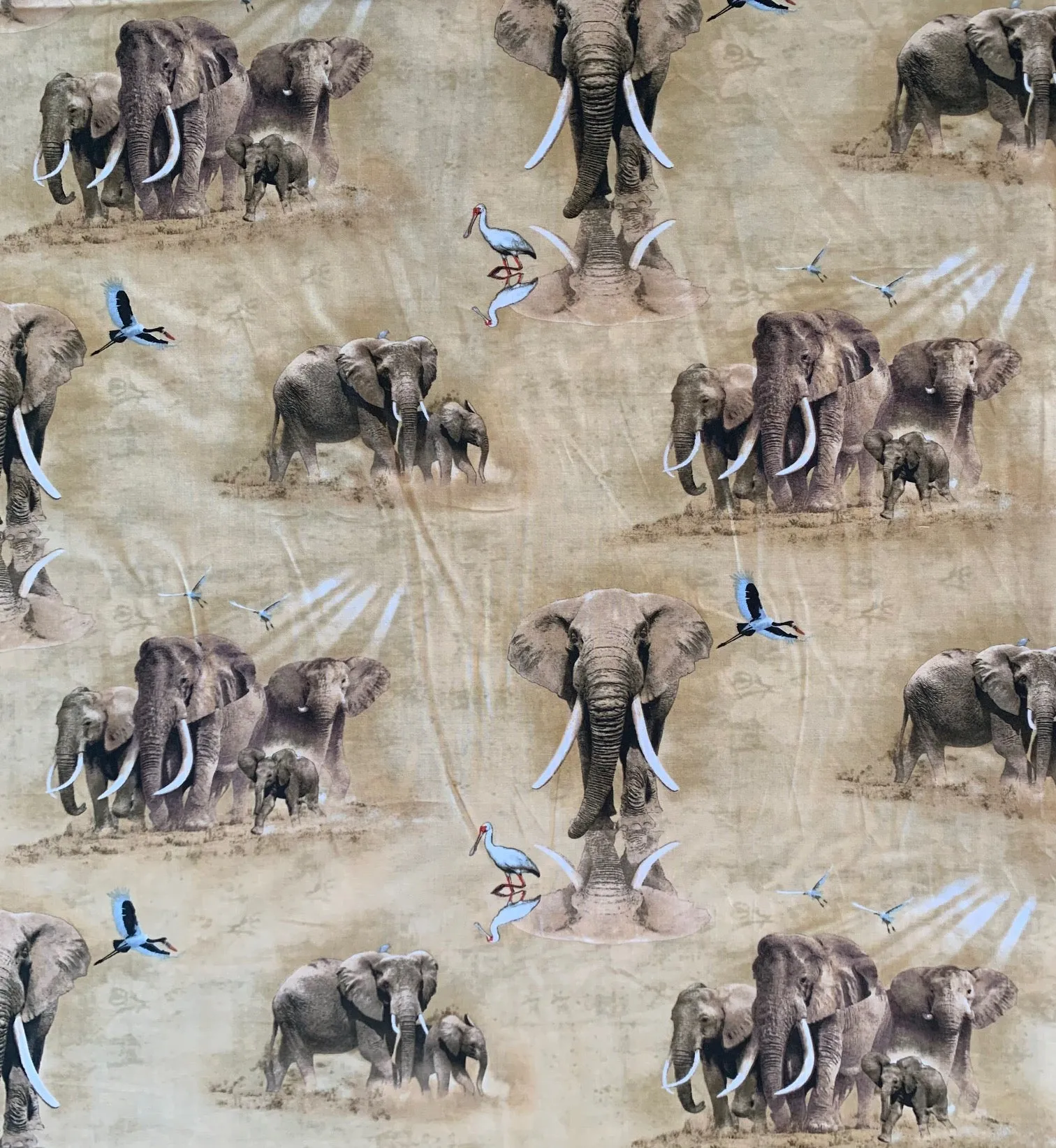Out of Africa