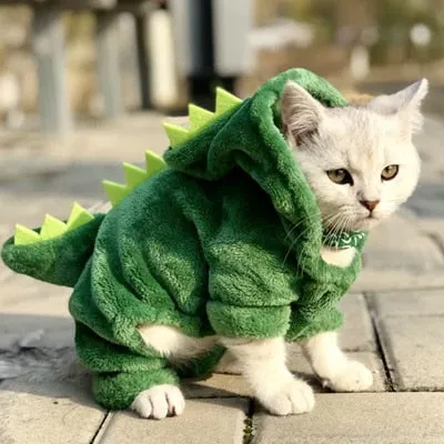 Plush Dinosaur and Bumble Bee Cat Costume