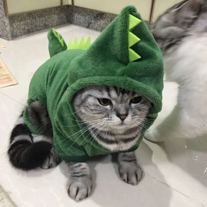 Plush Dinosaur and Bumble Bee Cat Costume