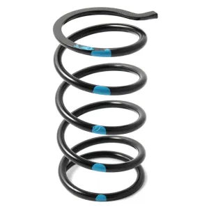 POLARIS Secondary Springs