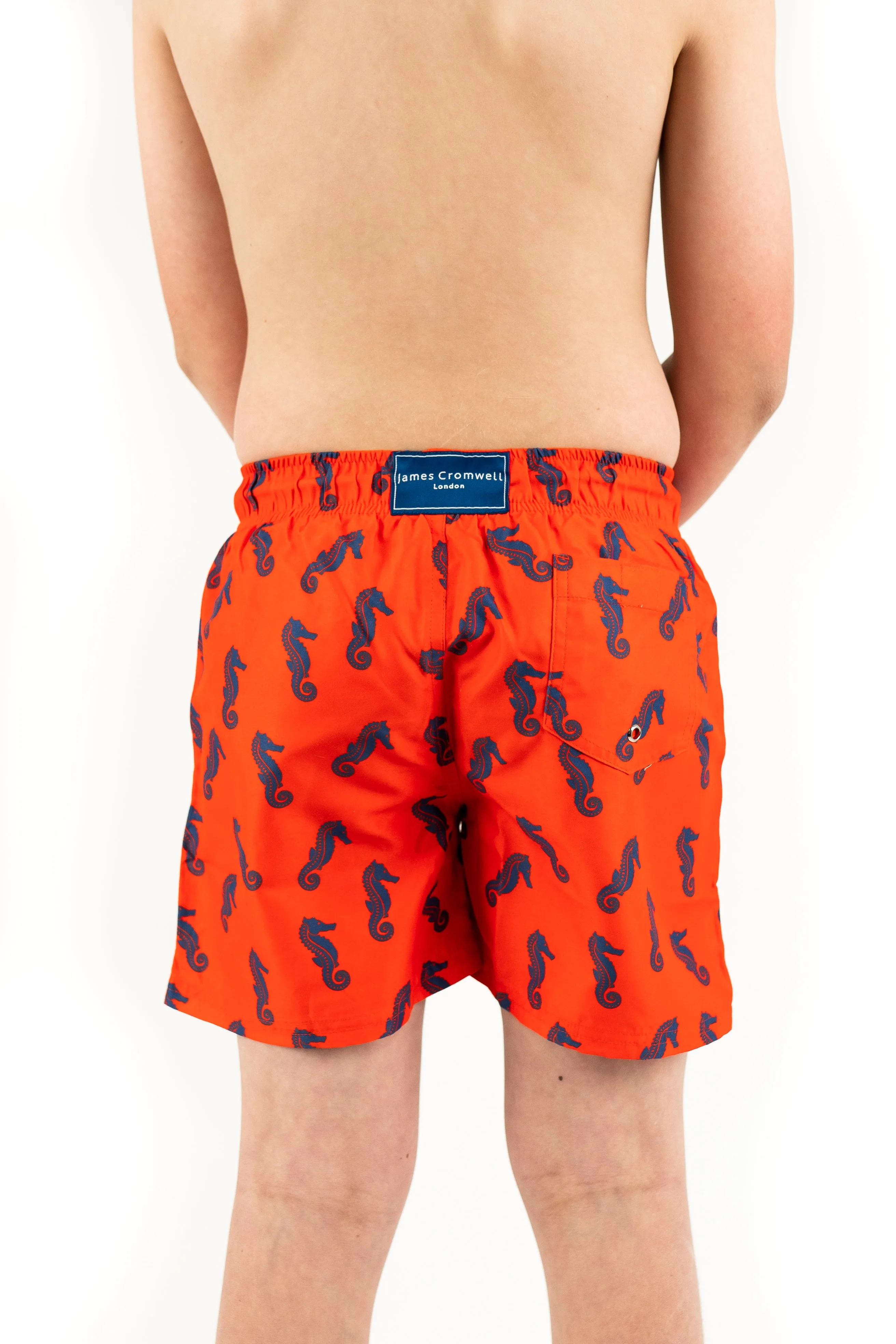 Red Bold Seahorse Boys