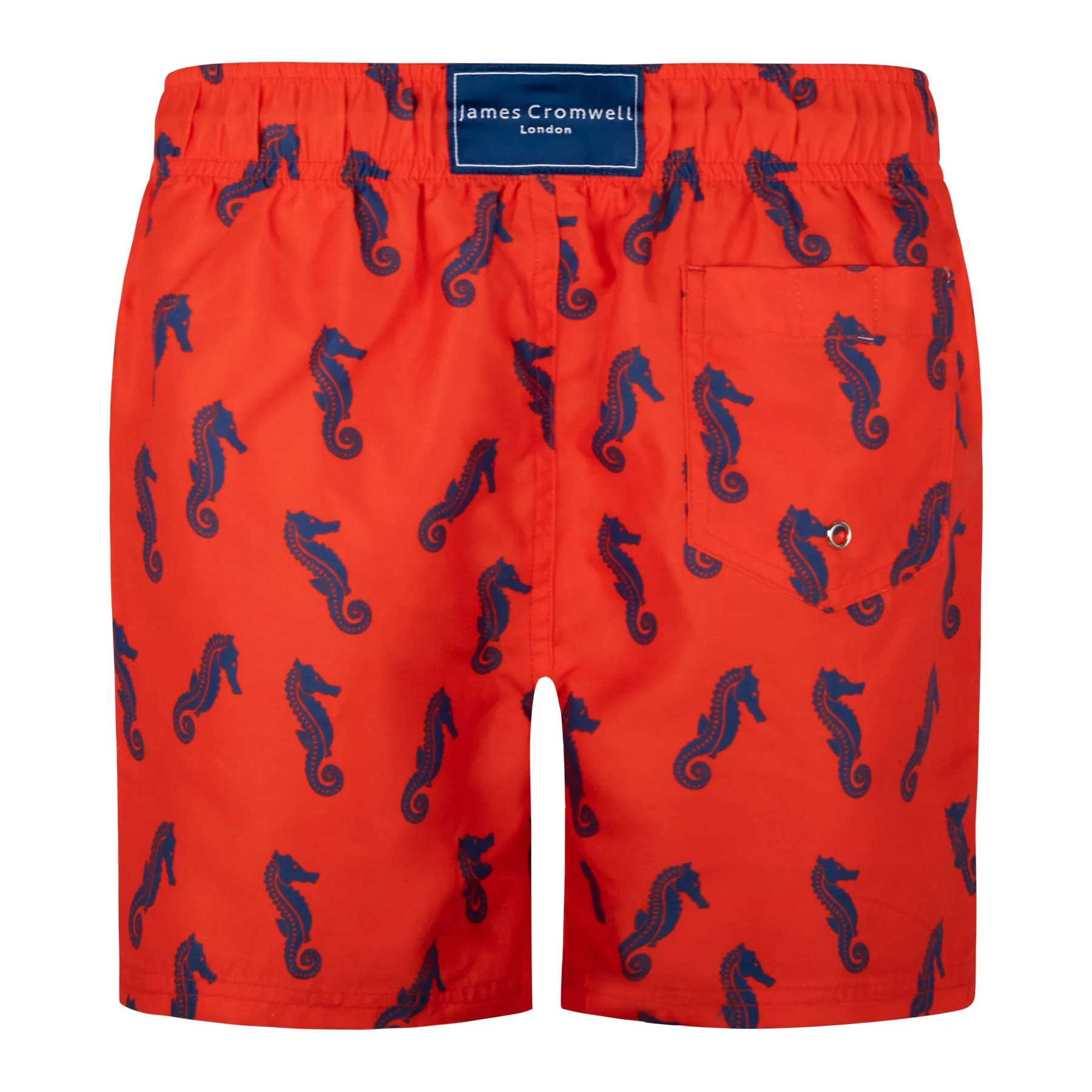 Red Bold Seahorse Boys