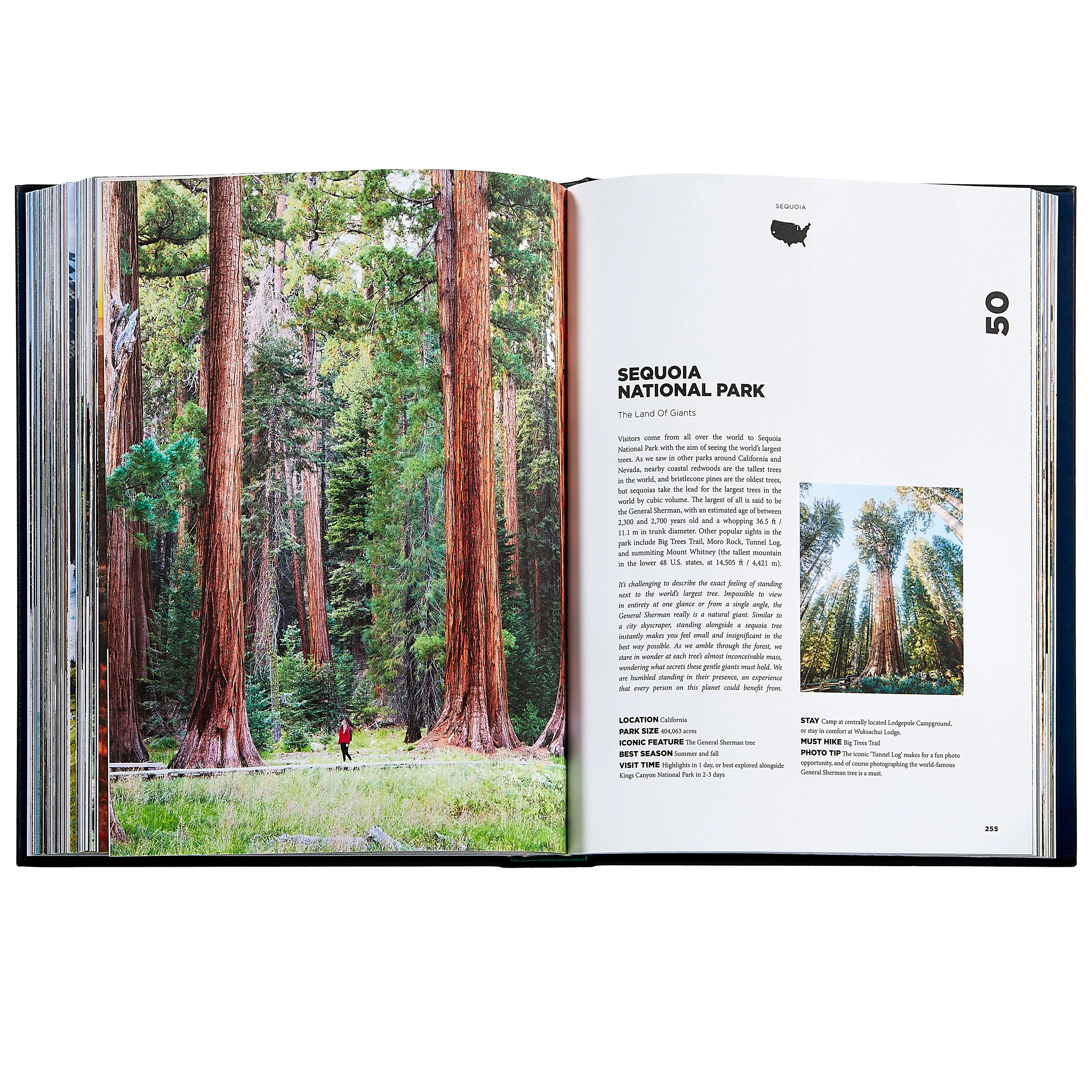 Roaming America Leather Bound Keepsake Book