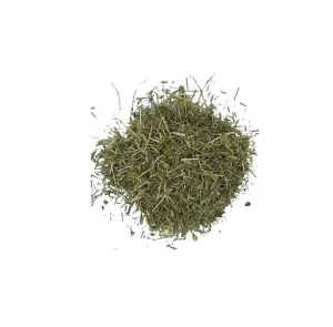 Shavegrass Cut 2oz Wild Crafted (Horsetail)