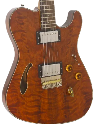 SOLD Asher Guitars 2015 Hollow T Deluxe Custom #842 with California Redwood top and custom wound pickups