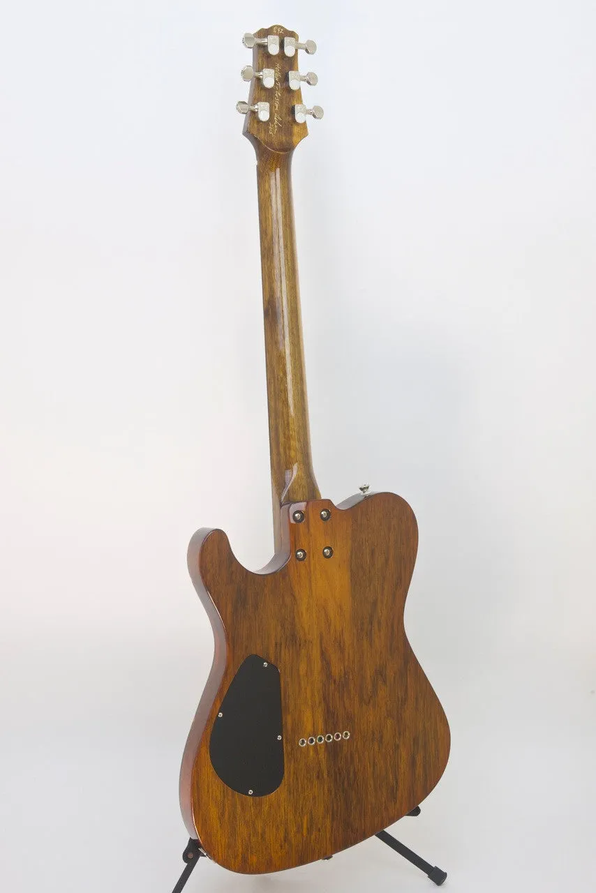 SOLD Asher Guitars 2015 Hollow T Deluxe Custom #842 with California Redwood top and custom wound pickups