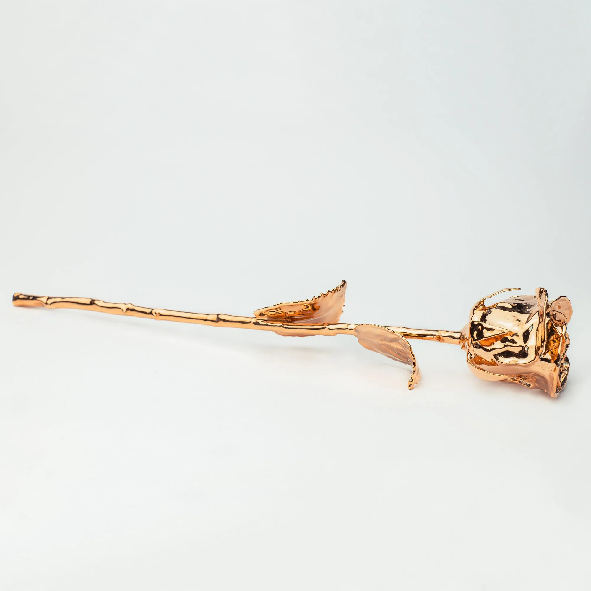 Specially Crafted 24k Gold Rose