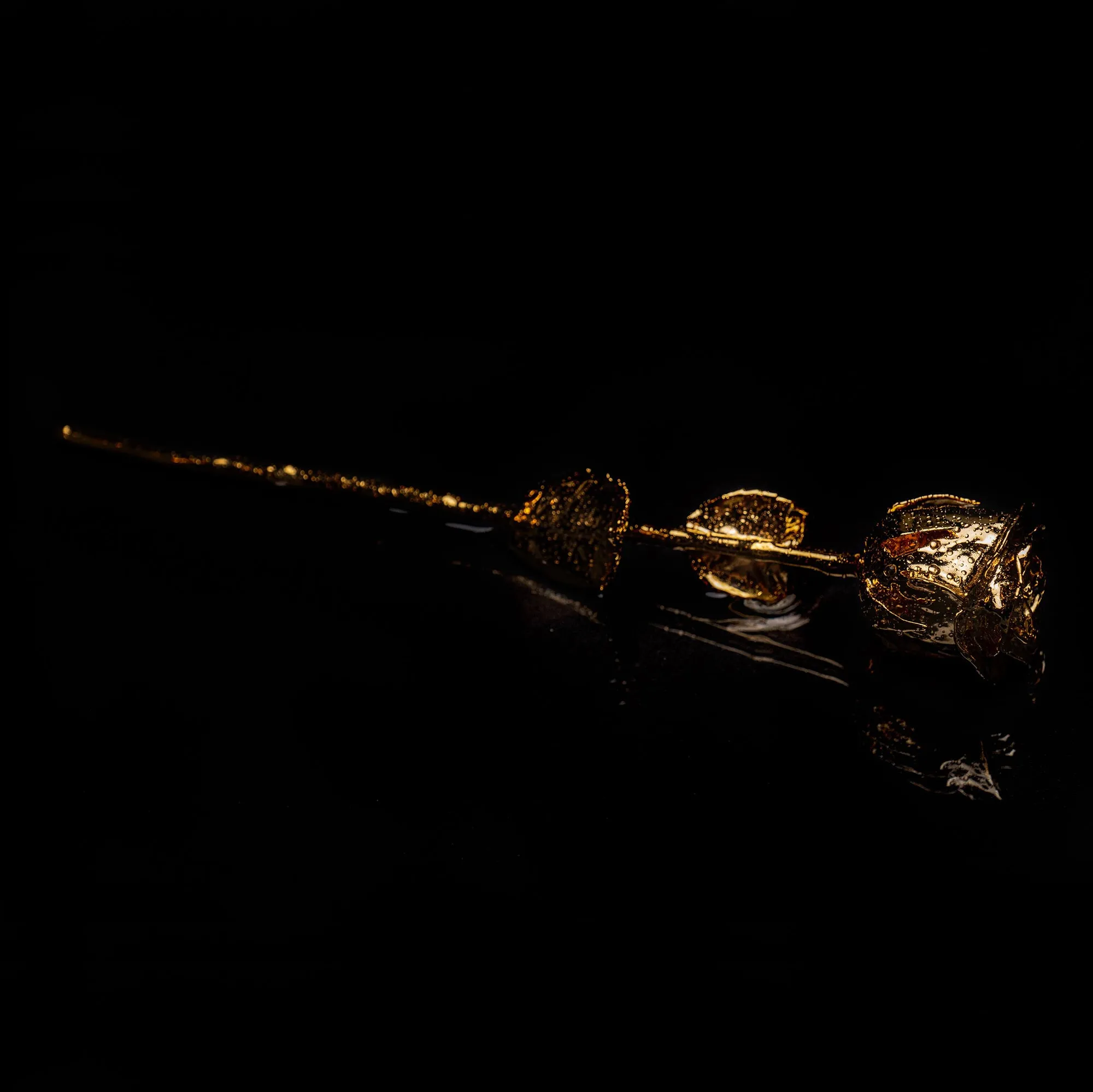 Specially Crafted 24k Gold Rose