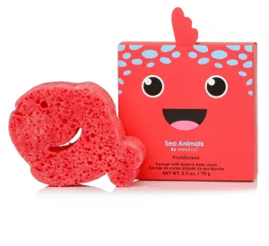 Sponge Animals - Fiona Fish
