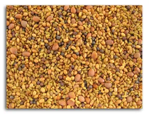 Sprouting Seed Mix