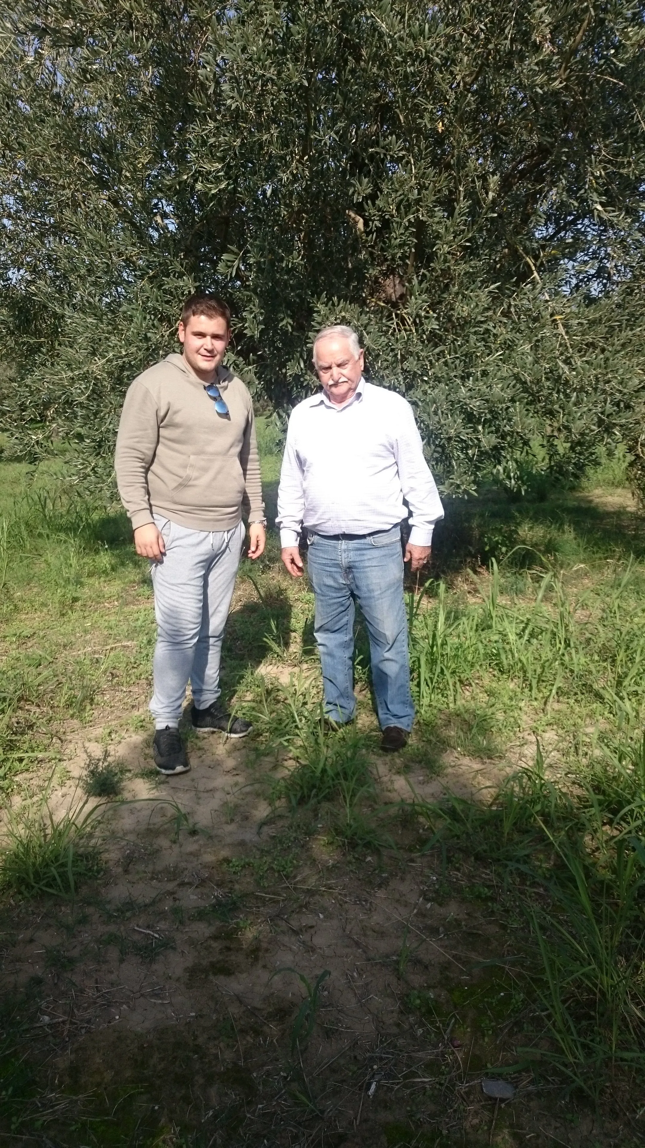 Spyros' Artesan Extra Virgin Olive Oil - 1Litre