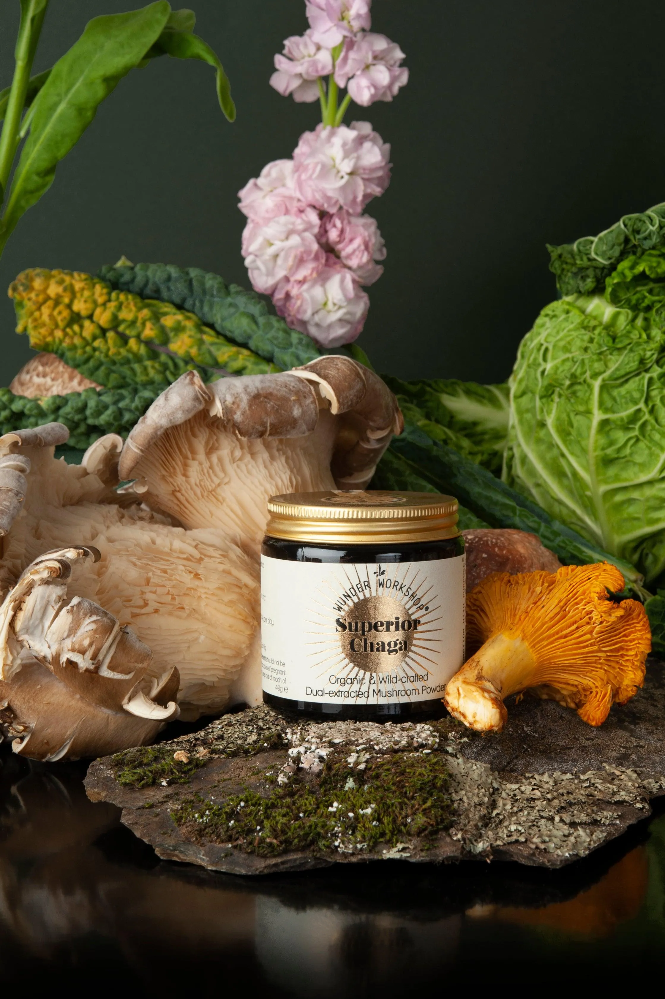 SUPERIOR CHAGA - Wild-Crafted, dual-extracted mushroom powder