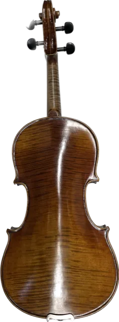 Thankful Strings Violin Outfit