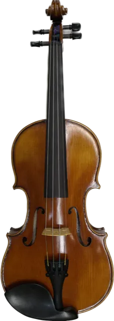 Thankful Strings Violin Outfit