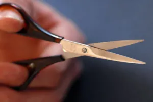 Thin Blade Scissors